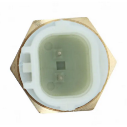 SONDA TEMPERATURA 2008