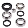KIT REPARO DIFERANCIAL TRASEIRO TRX420 2014