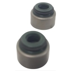 PAR RETENTOR VALVULA