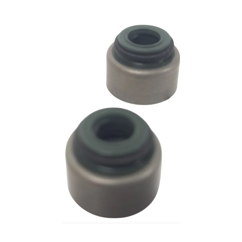 PAR RETENTOR VALVULA