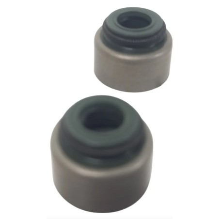 PAR RETENTOR VALVULA