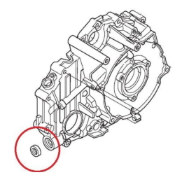 RETENTORE PEDAL DE CAMBIO TRX420 2014