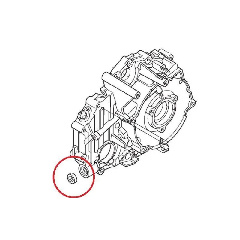 Retentor Pedal de Cambio TRX420 2014 – foto 2
